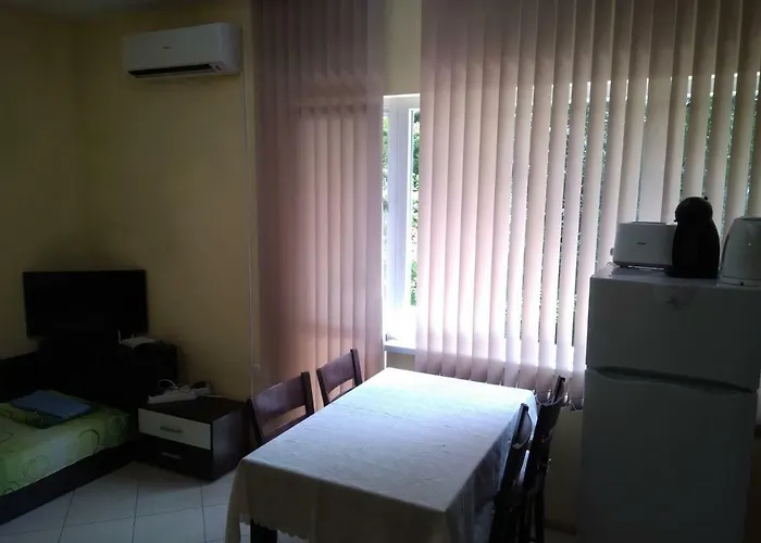 Nedyalkov Варна